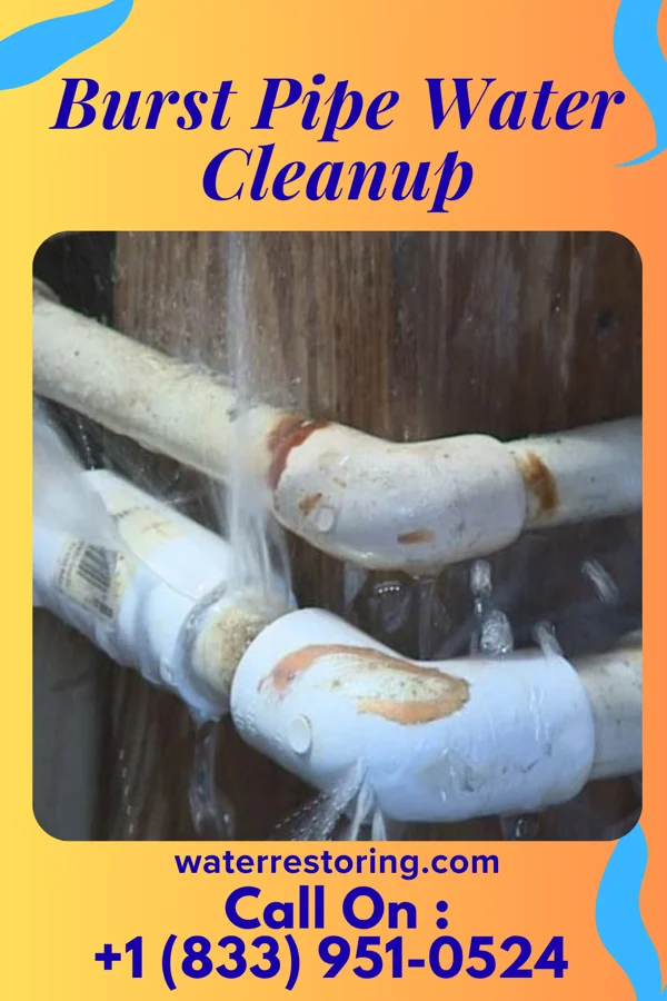 Burst Pipe Water Cleanup in Falls Church, VA