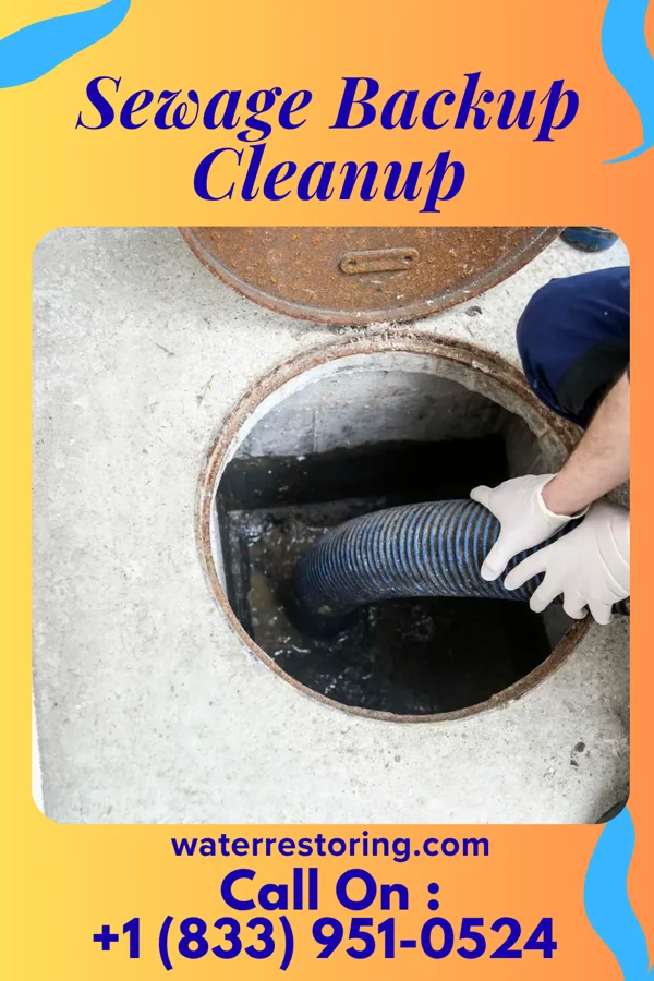 Sewage Backup Cleanup in Falls Church, VA
