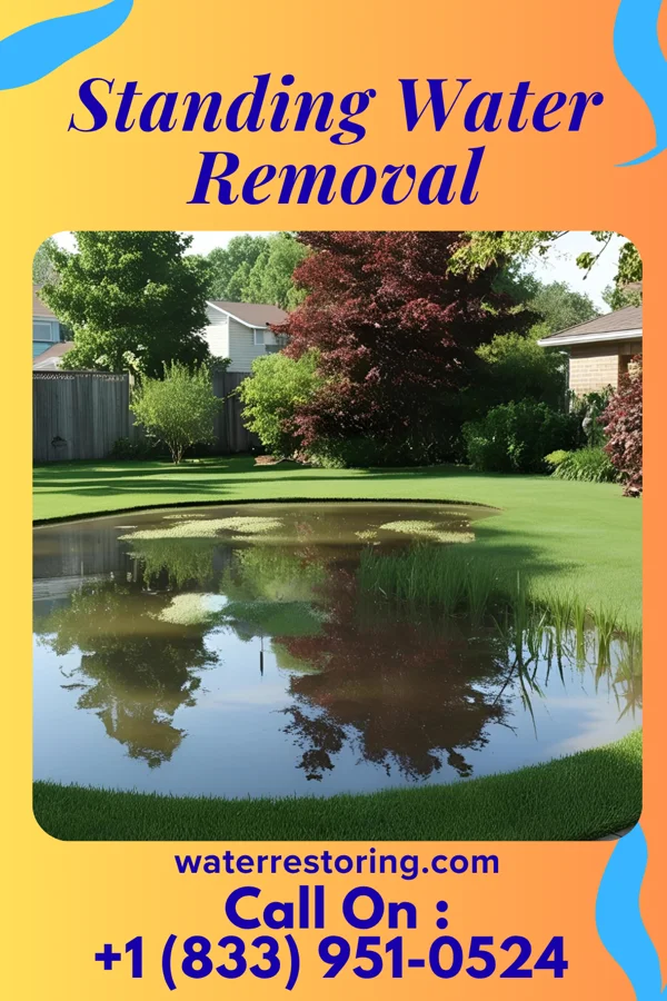 Standing Water Removal in Falls Church, VA